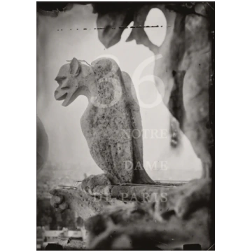 Tomas Van Houtryve: 36 Views of Notre Dame