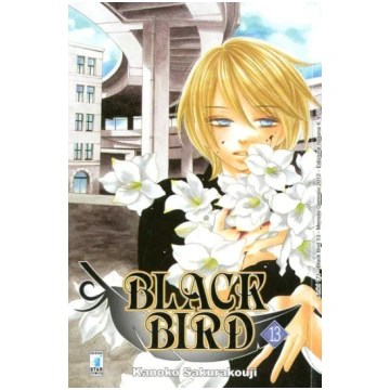 AMICI #171 BLACK BIRD 13