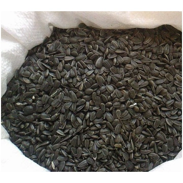 Putniem saulespuķu sēklas melnās 20 kg (4751004142