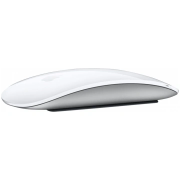 Apple | Magic Mouse with Multi-Touch Surface | Wir