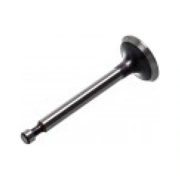 Ieplūdes vārsts Zongshen 188F (100004533) 07-02044