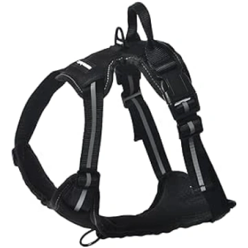 Amazon Basics Adjustable Soft Padded Anti Pull Dog