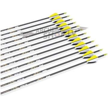 SANLIDA, HERO 8 TARGET COMPOUND CARBON ARROWS