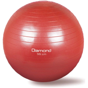 GYM BALL | Ø 55 CM - Ø 85 CM - 55 cm