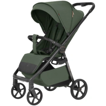 Carrello Pastaigu rati Bravo Carbon 2025 Tropic gr