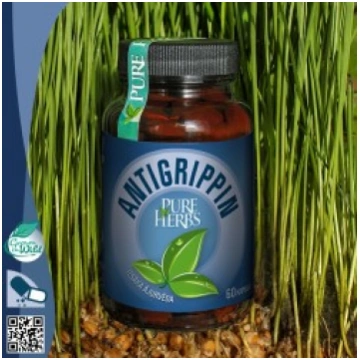 Antigripins 60 kapsulas