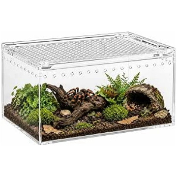 Acrylic Terrarium, Mini Terrarium, Small with 360°
