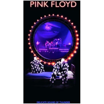 PINK FLOYD | DELICATE SOUND OF THUNDER: LIVE (2CD)