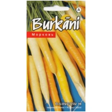 BURKĀNI RAINBOW F1 KURZEMES