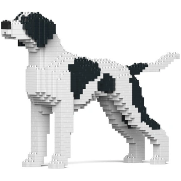 Jekca konstruktors, Pointers S01-M02