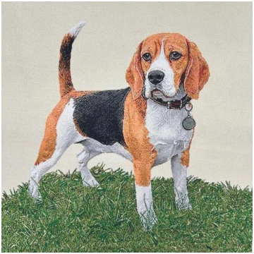 Pannello Suede Cane Beagle 45x45 Cm