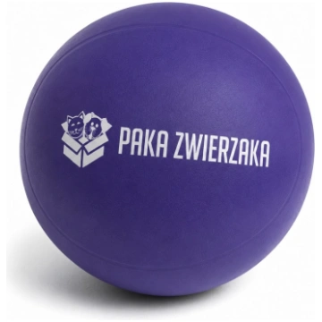 PAKA ZWIERZAKA Beach ball