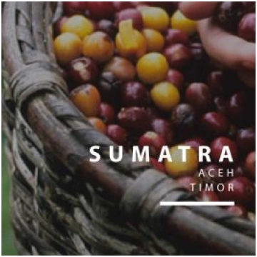 Sumatra/Sumatra Gayo Highland, kafija 1 kg