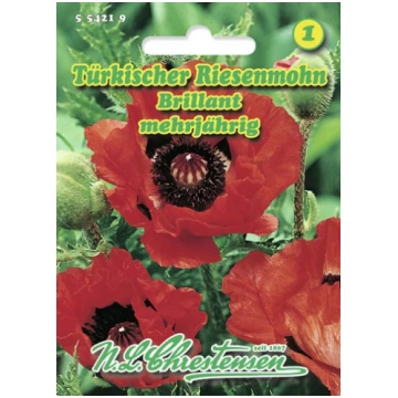 Austrumu magone Brilliant - Lauku Bodite