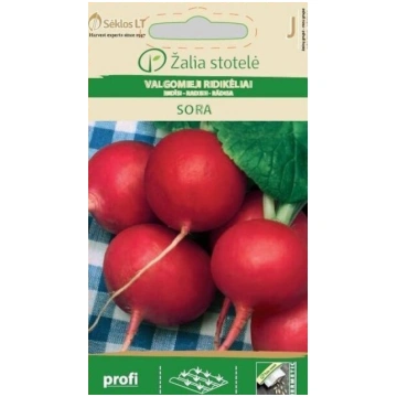REDĪSI SORA Žalia stotelė