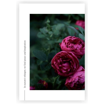 Pastkarte Velvet blossom, Nature's Whisper, M