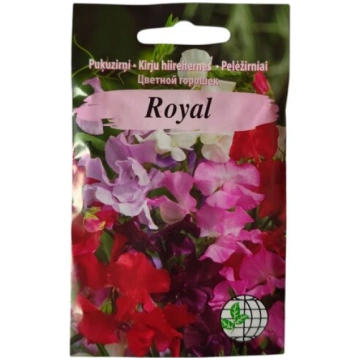 Puķuzirņi Royal jaukti Agrimatco