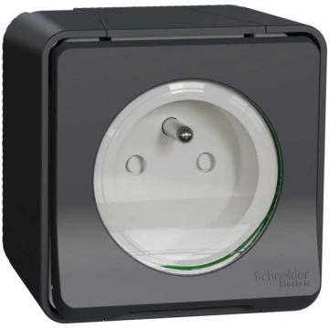 Schneider Electric Mureva Styl Gniazdo 2P+PE antra