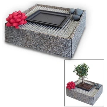 Bonsai gift box , Ref. 9004