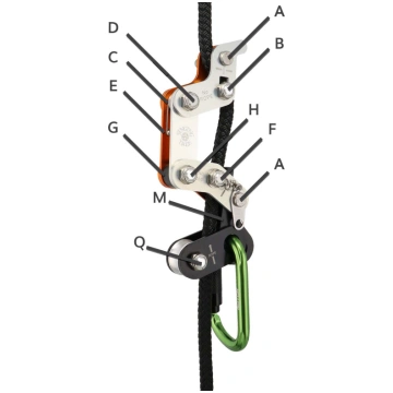 Split Ring (K) Singing Tree