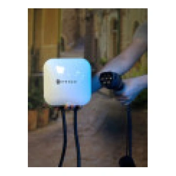 Defenzo Wallbox Home AC11 Smart