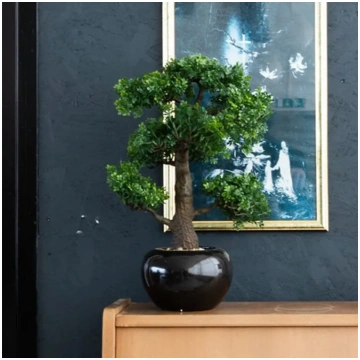 Emerald Ficus Artificiale Mini Bonsai 47 Cm 420006