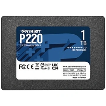 Dysk SSD 1TB P220 550/500MB/s SATA III 2.5 cala P2