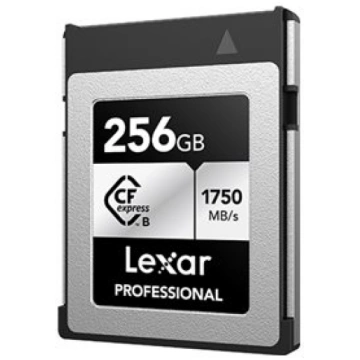 Lexar Professional SILVER series - flash memory ca