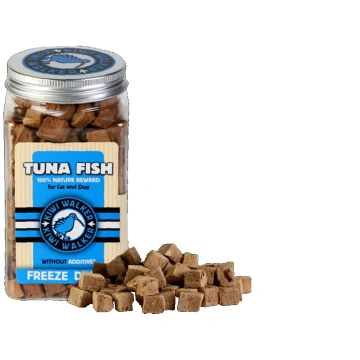 KIWI Walker TUNA Forza10