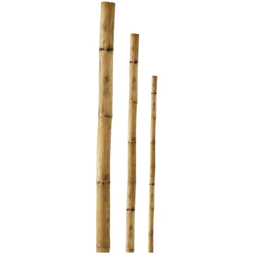 Mietins bambusa 180cm 1gb ( 9055786 )