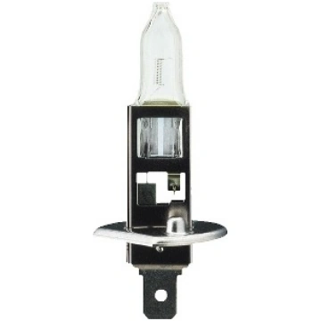 BOSCH Spuldze 1 987 302 011