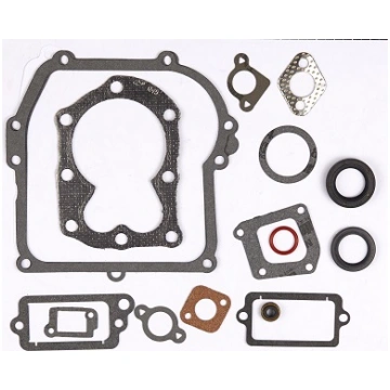 Briggs&stratton BLĪVJU KPL.9D902 (590777)