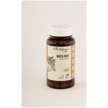 Maca Root (Lepidium meyenii) Makas Saknes Pulveris
