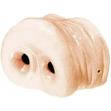 Deguns (cūkas purns)