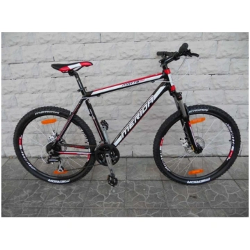 Merida Matts 6.20 D