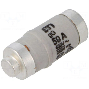 Fuse: fuse | gG,gL | 50A | 400VAC | 250V | industr