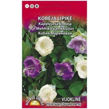 LIPĪGĀ KOBEJA (KĀPELĒJOŠA)