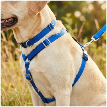 IZPĀRDOŠANA - Suņu treniņu pavada Instant Trainer 
