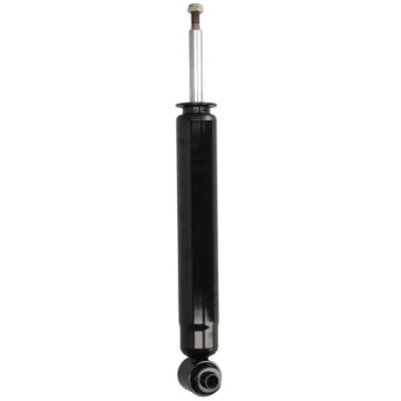 Amortizators MAGNUM TECHNOLOGY AGB097MT