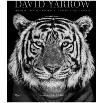 David Yarrow Photography: Americas Africa Antarcti