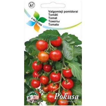 Tomāti (Pokusa) Ķiršu tomāti