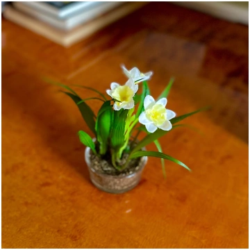 Narciss mini VIT 10 cm