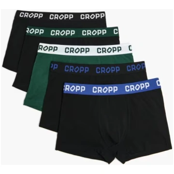 bokseršorti 5 gab. paka Cropp