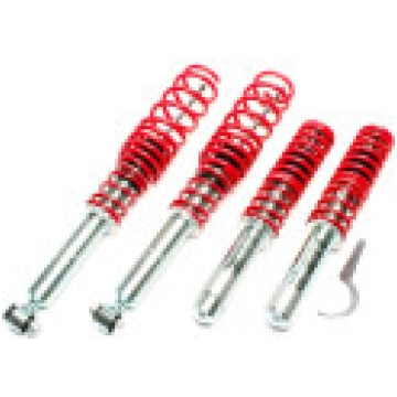 BMW e39 (95-03) koiloveri EVOGWBM05
