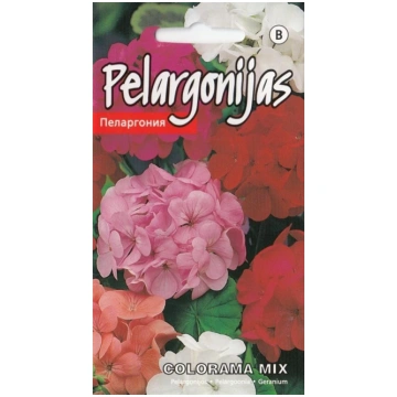 KURZEMES SEKLAS Sēklas Kurzemes sēklas pelargonija