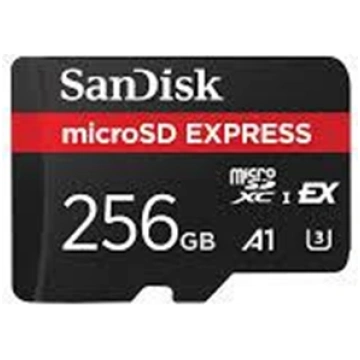 SanDisk microSD EXPRESS 256GB Switch 2 ready SDSQX