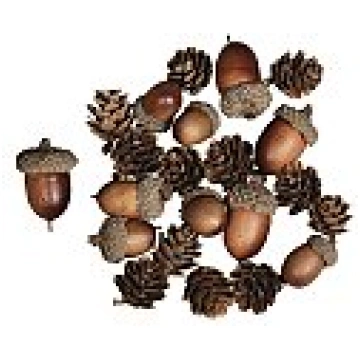Ozolzīļu un čiekuru maisījums, asorti 2-4cm, 27gab