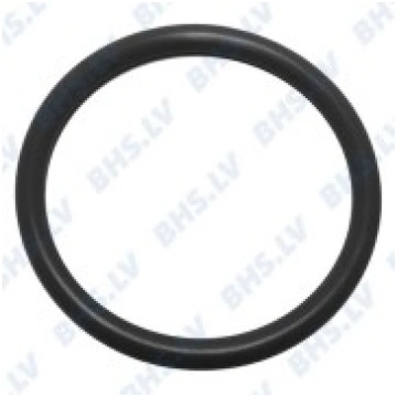 O-RING 02031 FKM LF L1186717