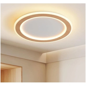 LED griestu lampas, diametrs 30 cm, apaļas griestu