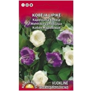 Standart flower Sēklas kobeja kāpelējošā 0.3g